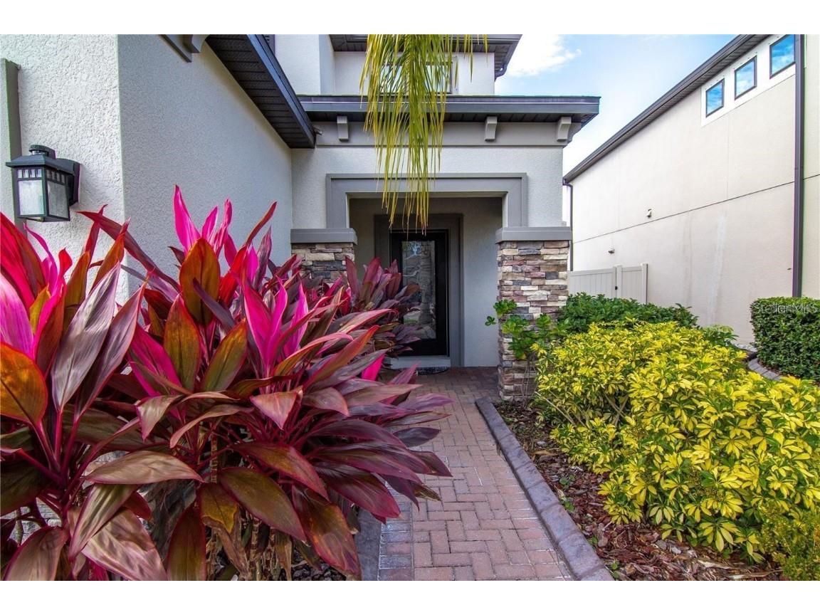 1977 Nature View Drive Lutz FL 33558 TB8452212 image4