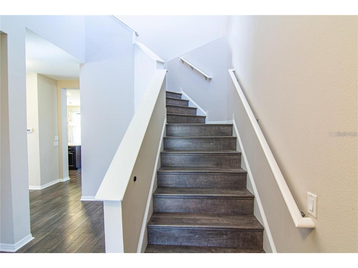 1977 Nature View Drive Lutz FL 33558 TB8452212 image7