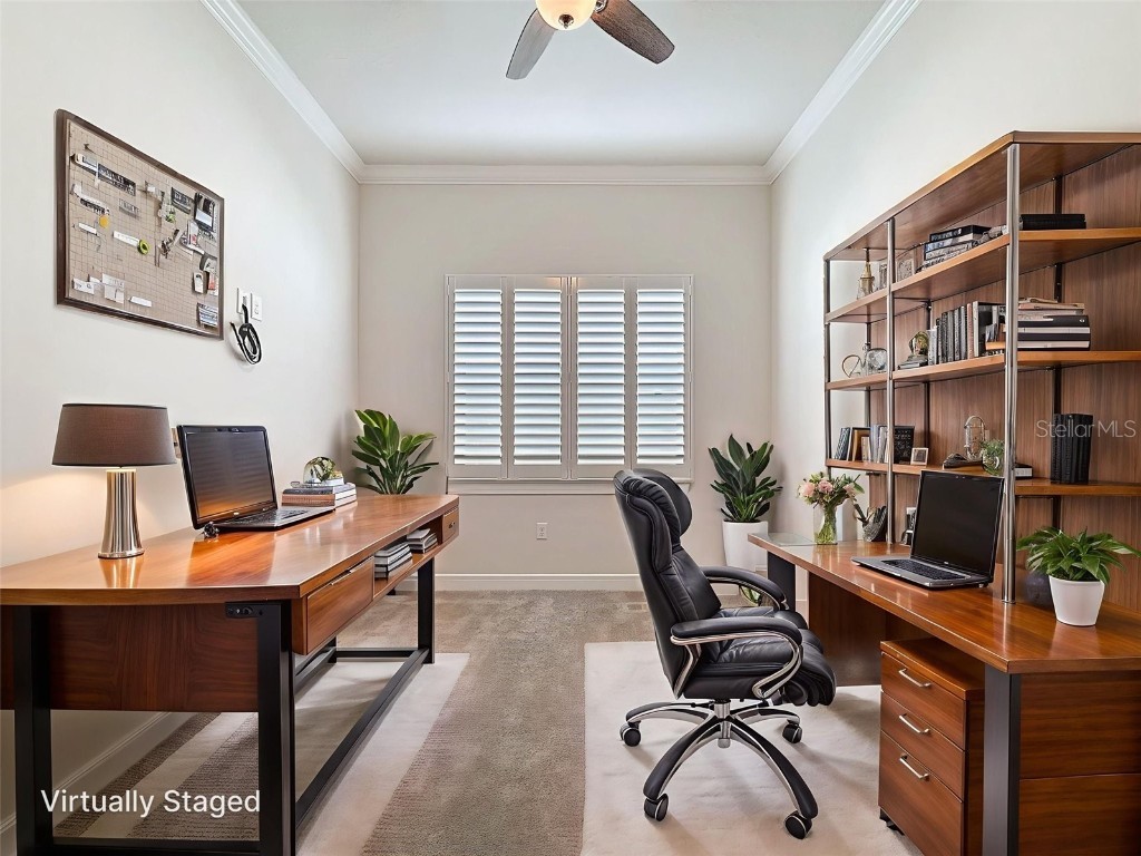 19771 Ship Wheel Way Land O Lakes FL 34638 W7879667 image7