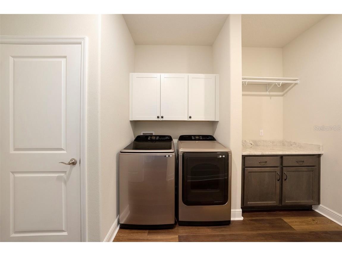 19772 Preservation Woods Drive Lutz FL 33548 TB8459797 image26