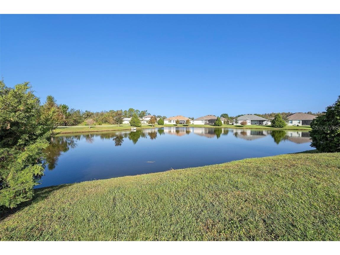 19772 Preservation Woods Drive Lutz FL 33548 TB8459797 image30