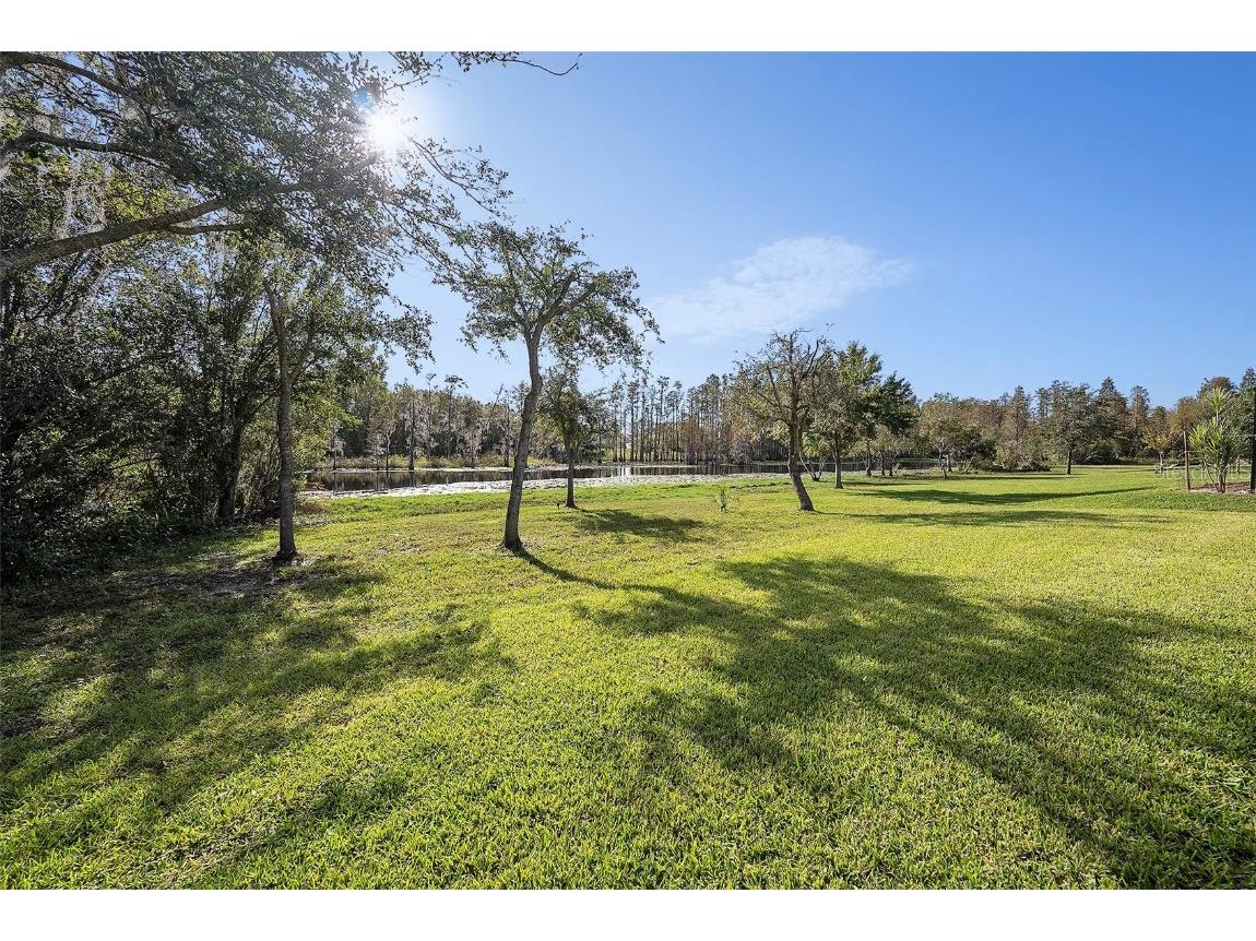 19772 Preservation Woods Drive Lutz FL 33548 TB8459797 image31