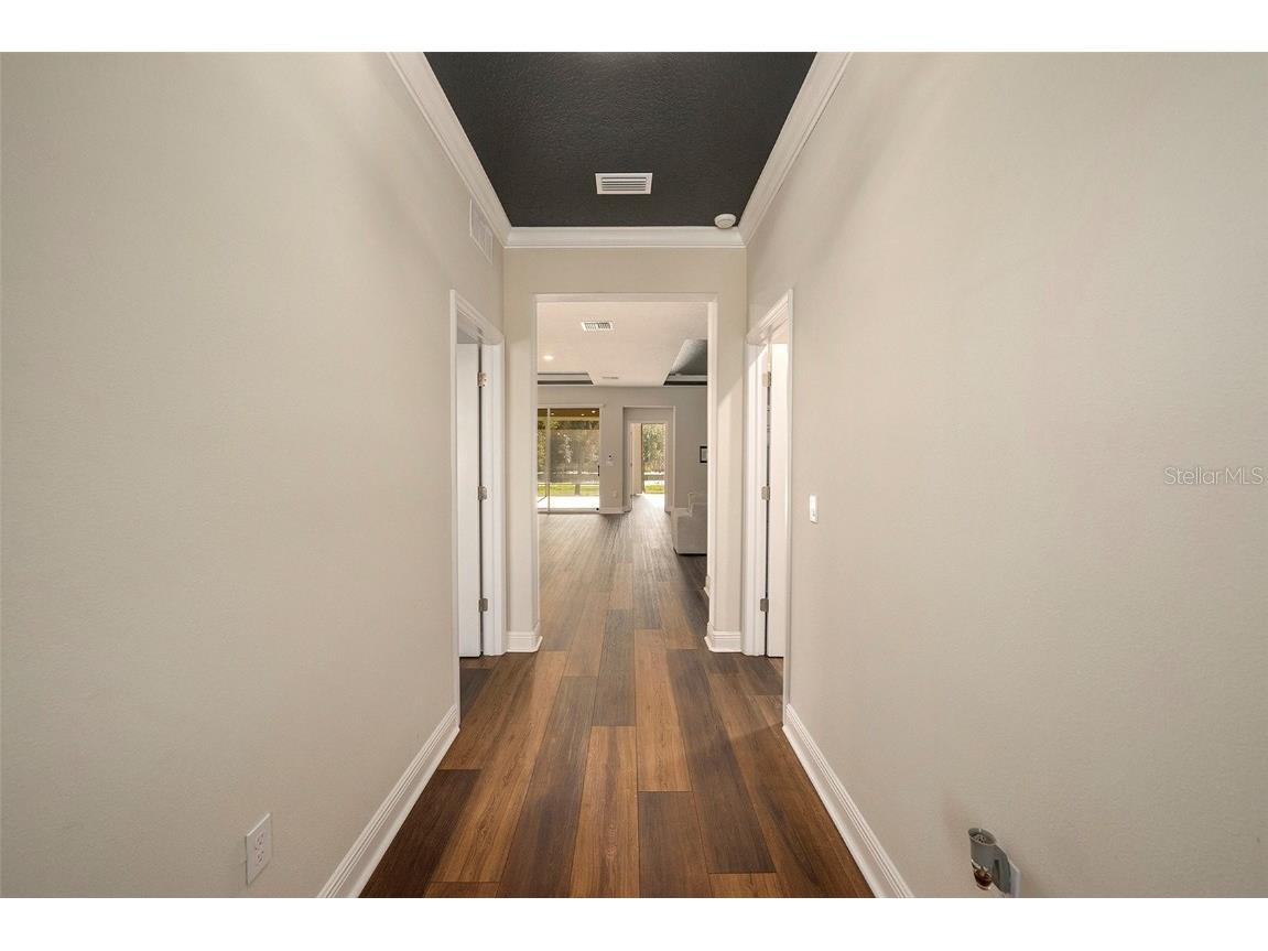 19772 Preservation Woods Drive Lutz FL 33548 TB8459797 image4