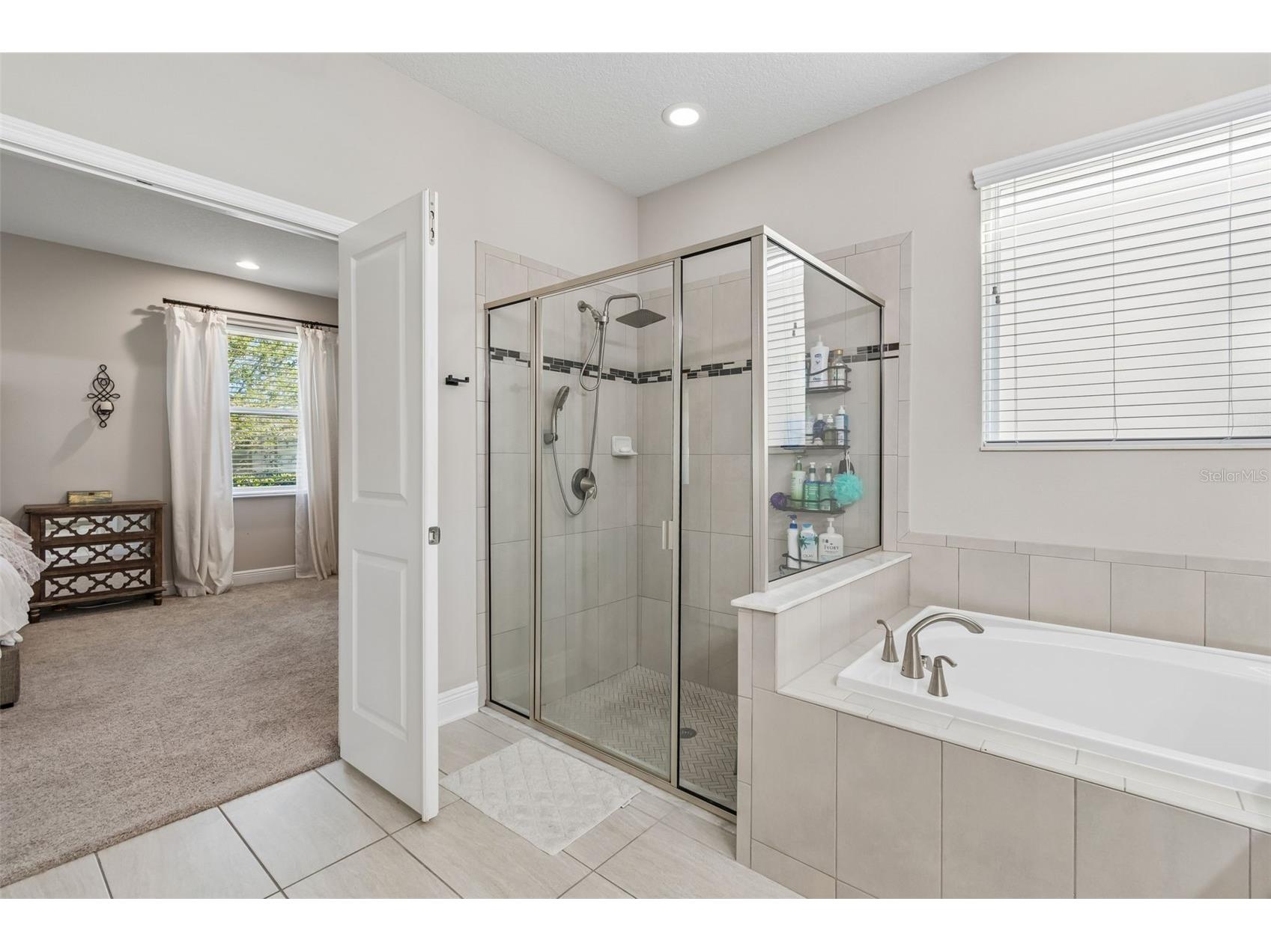 19779 Morsani Road Lutz FL 33558 W7884160 image26