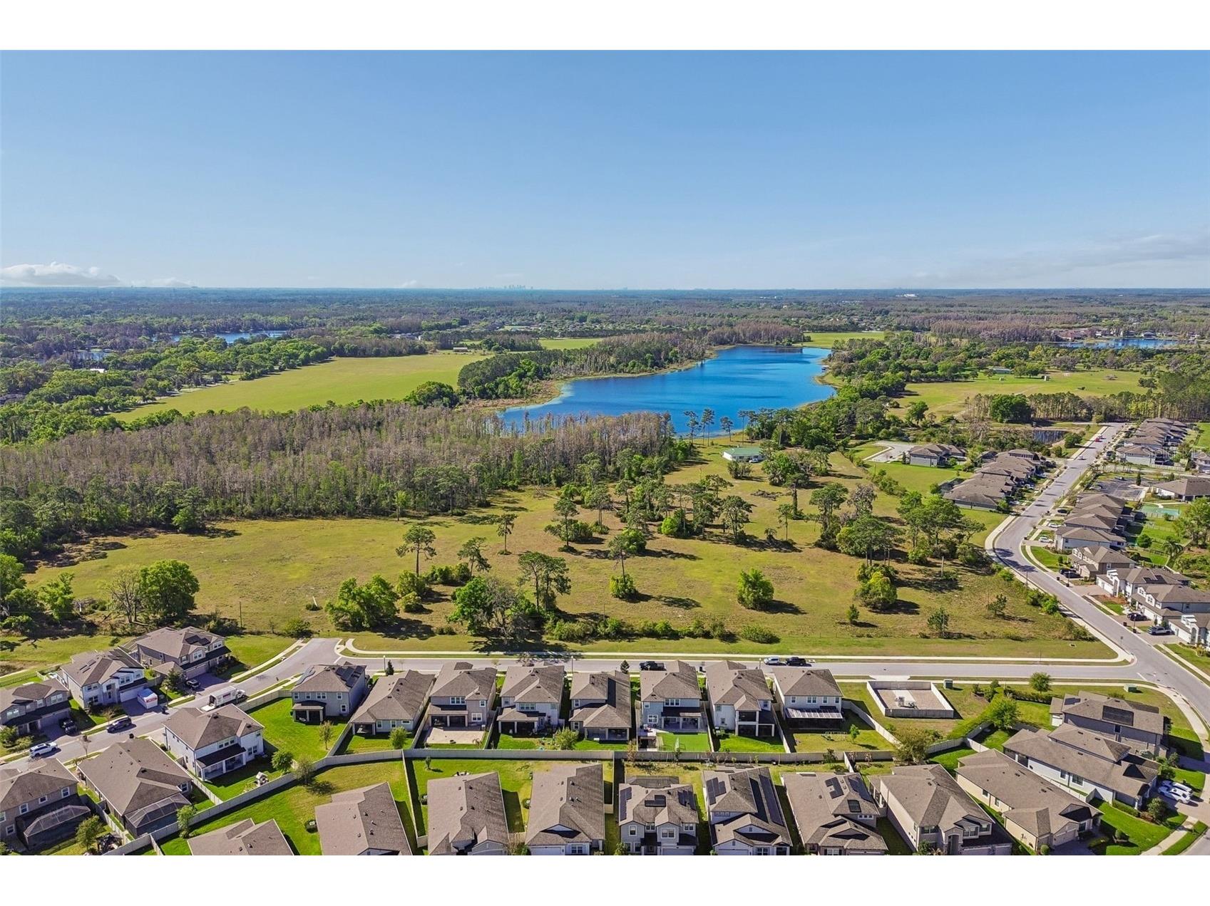19779 Morsani Road Lutz FL 33558 W7884160 image51
