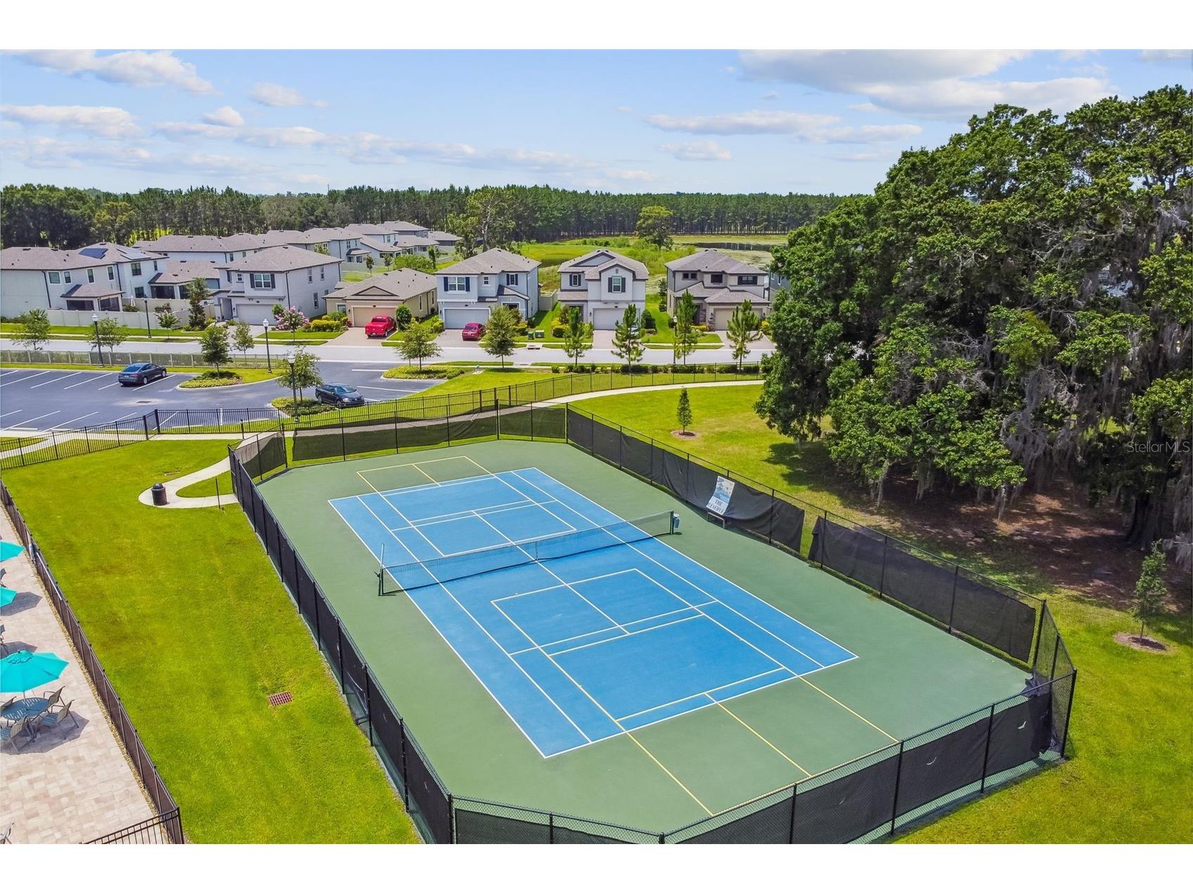 19779 Morsani Road Lutz FL 33558 W7884160 image67