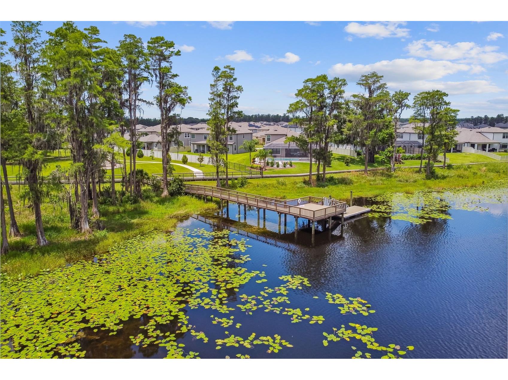 19779 Morsani Road Lutz FL 33558 W7884160 image68