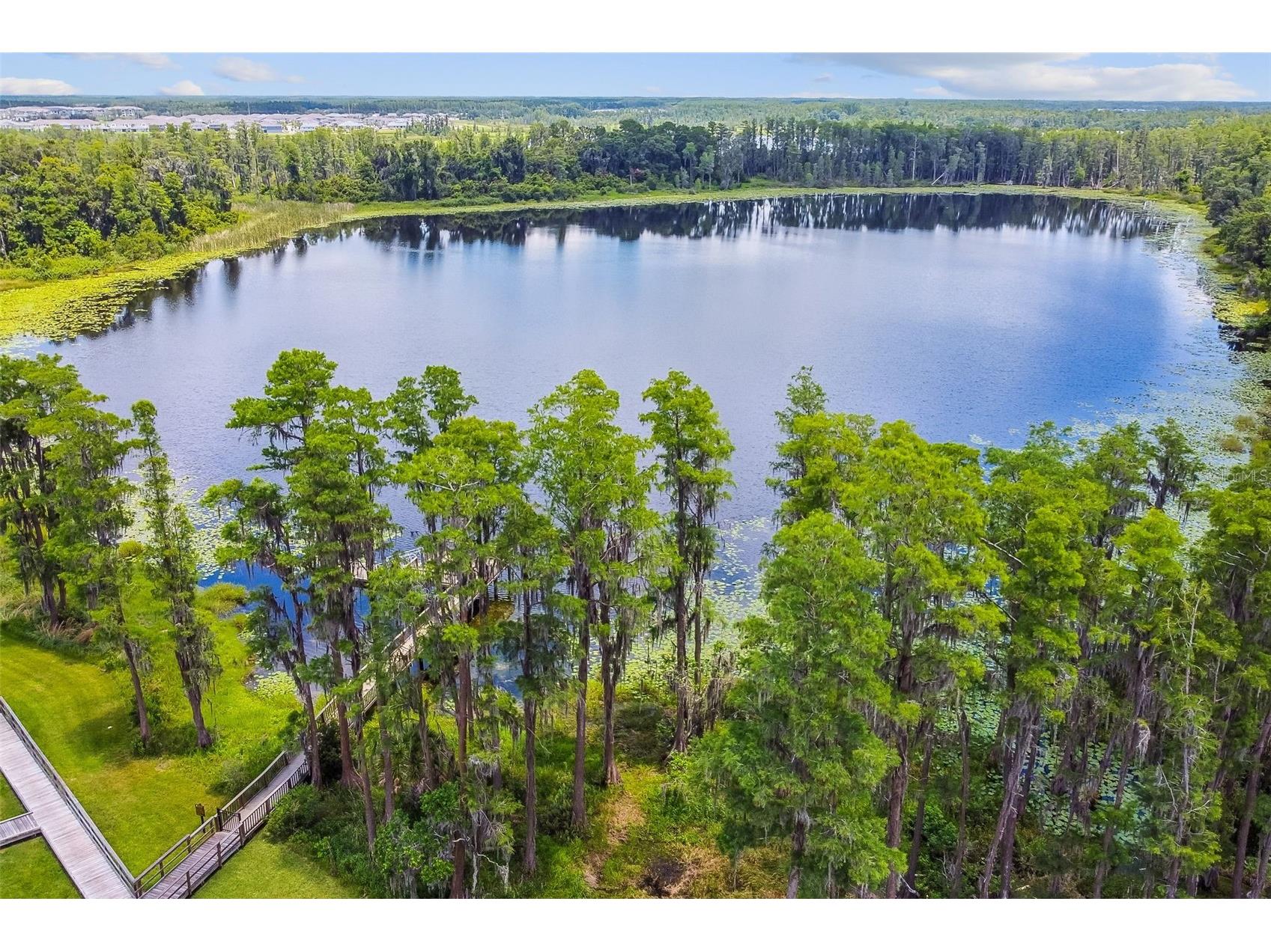 19779 Morsani Road Lutz FL 33558 W7884160 image69