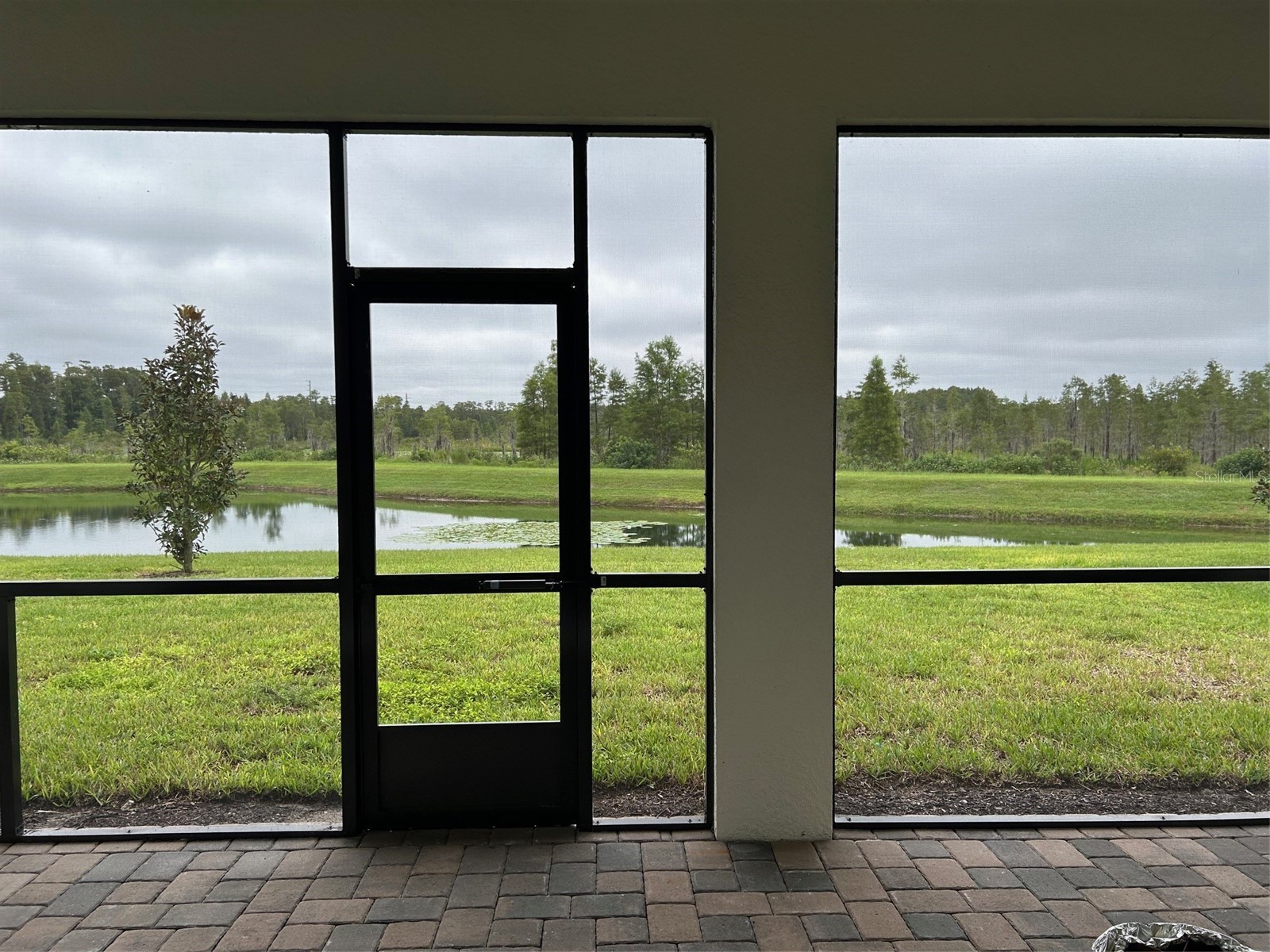 19780 Blue Pond Drive Lutz FL 33558 TB8461142 image2