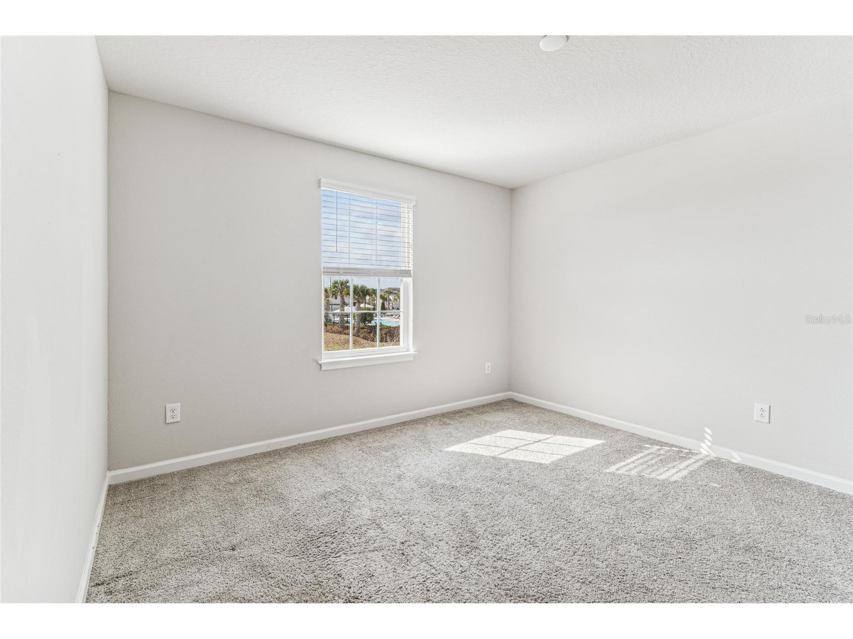 19780 Blue Pond Drive Lutz FL 33558 TB8461142 image31