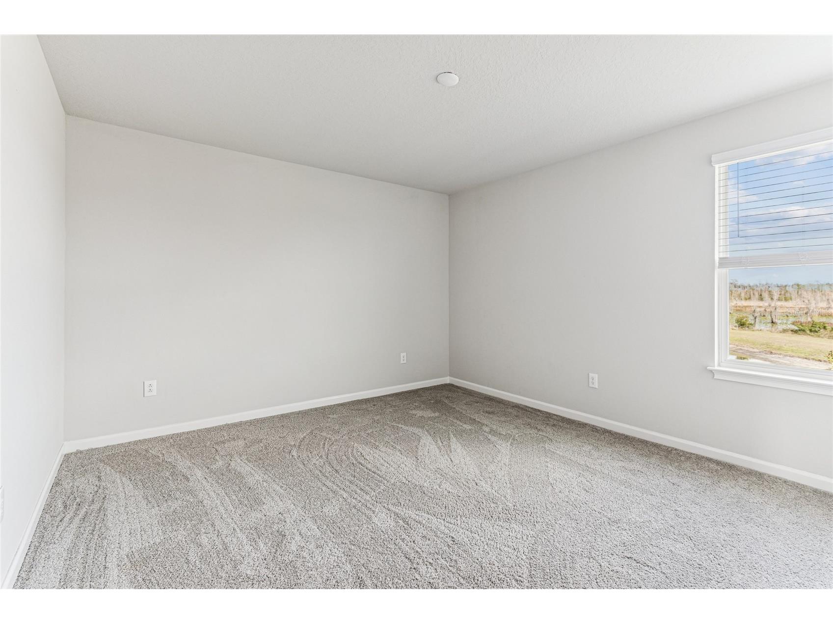 19780 Blue Pond Drive Lutz FL 33558 TB8461142 image32