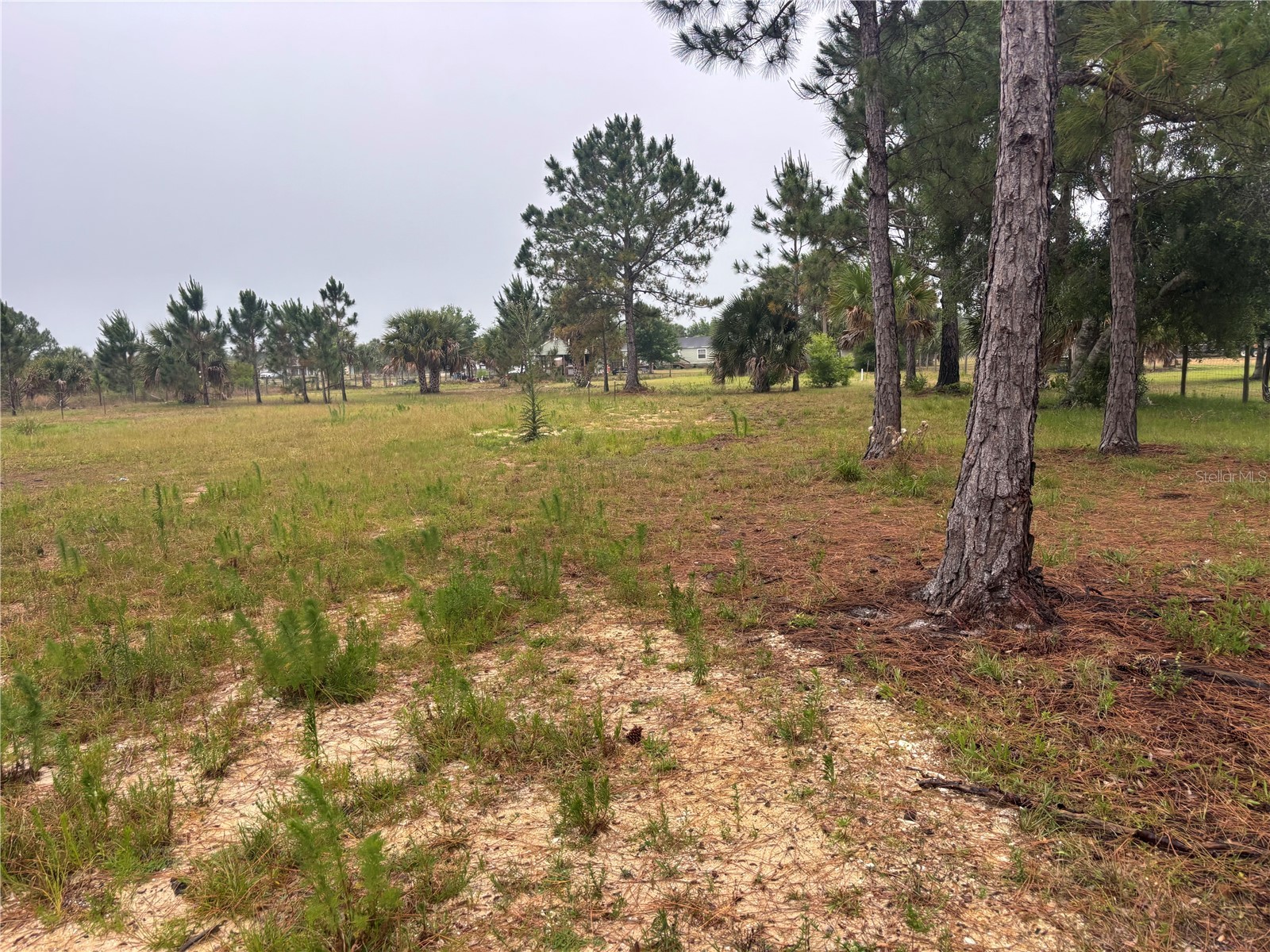 19788 284th Street NW Okeechobee FL 34972 C7520511 image11
