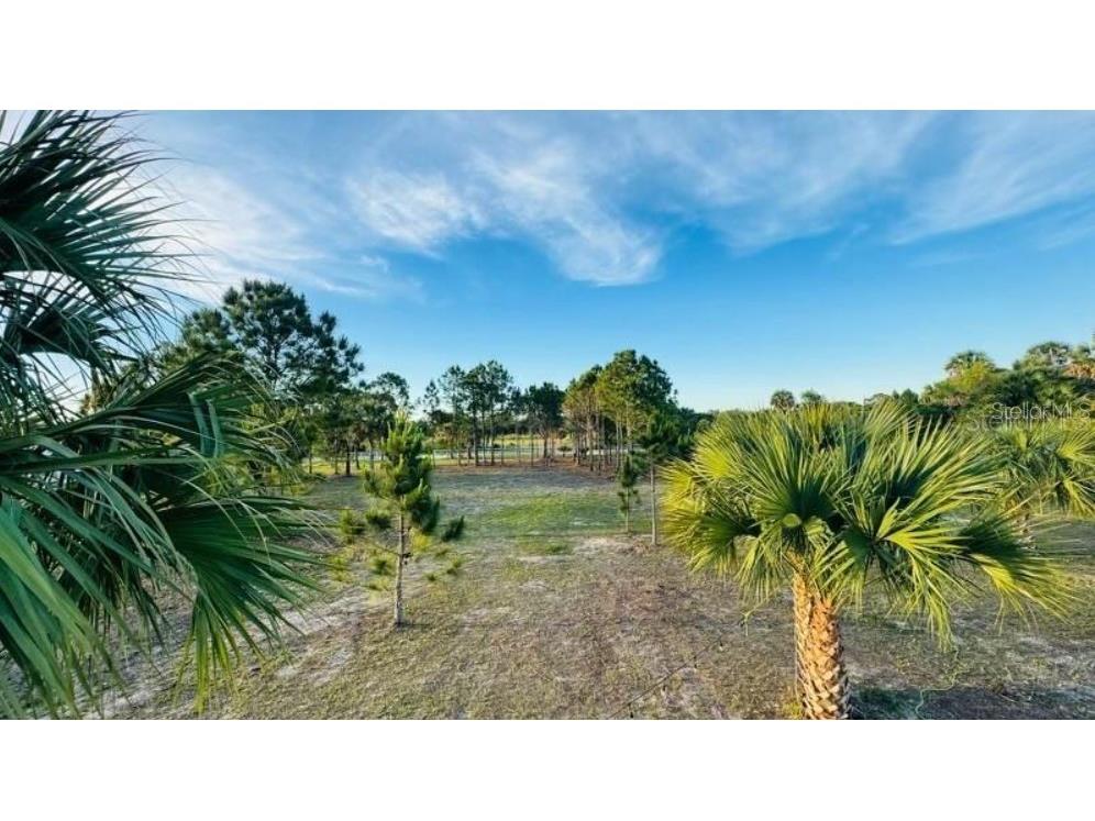 19788 284th Street NW Okeechobee FL 34972 C7520511 image3