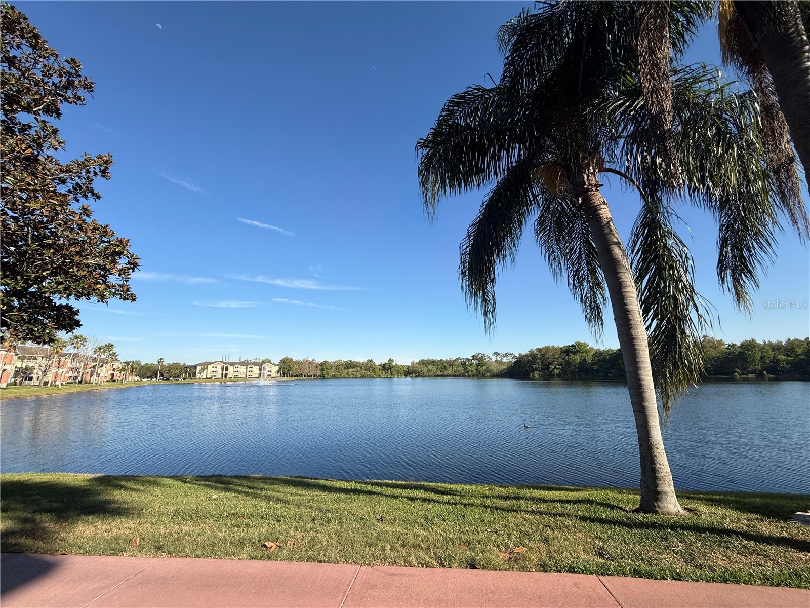 1979 Summer Club Drive #213 Oviedo FL 32765 O6399375 image15