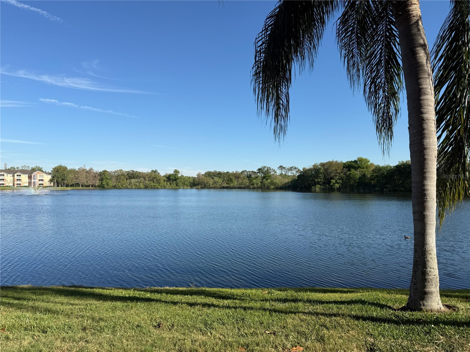 1979 Summer Club Drive #213 Oviedo FL 32765 O6399375 image16