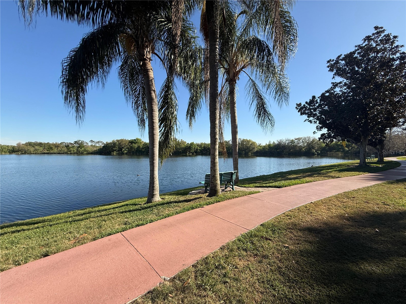 1979 Summer Club Drive #213 Oviedo FL 32765 O6399375 image17