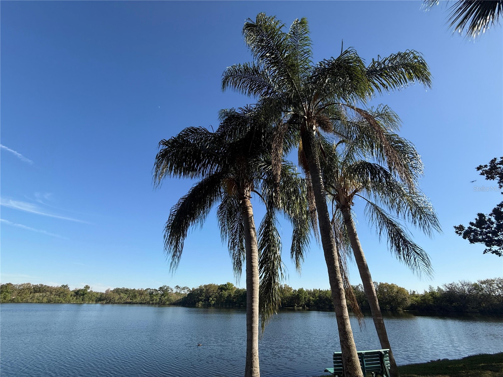 1979 Summer Club Drive #213 Oviedo FL 32765 O6399375 image18