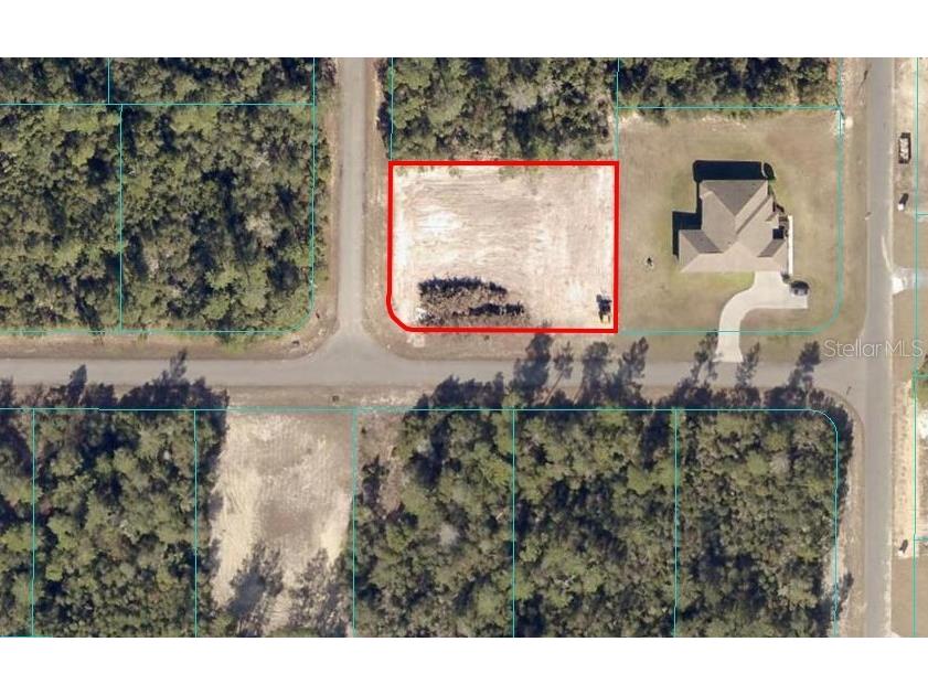 1979 SW 176th Lane Road Ocala FL 34473 OM659765 image1
