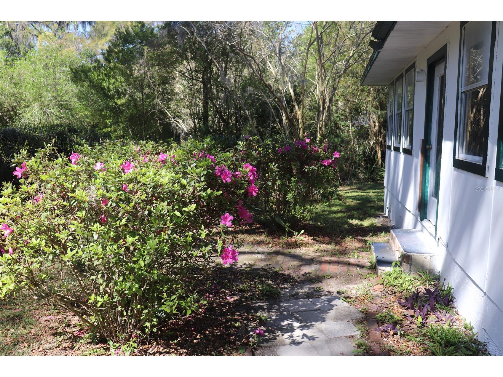 19791 SW 108th Lane Dunnellon FL 34432 OM721066 image2