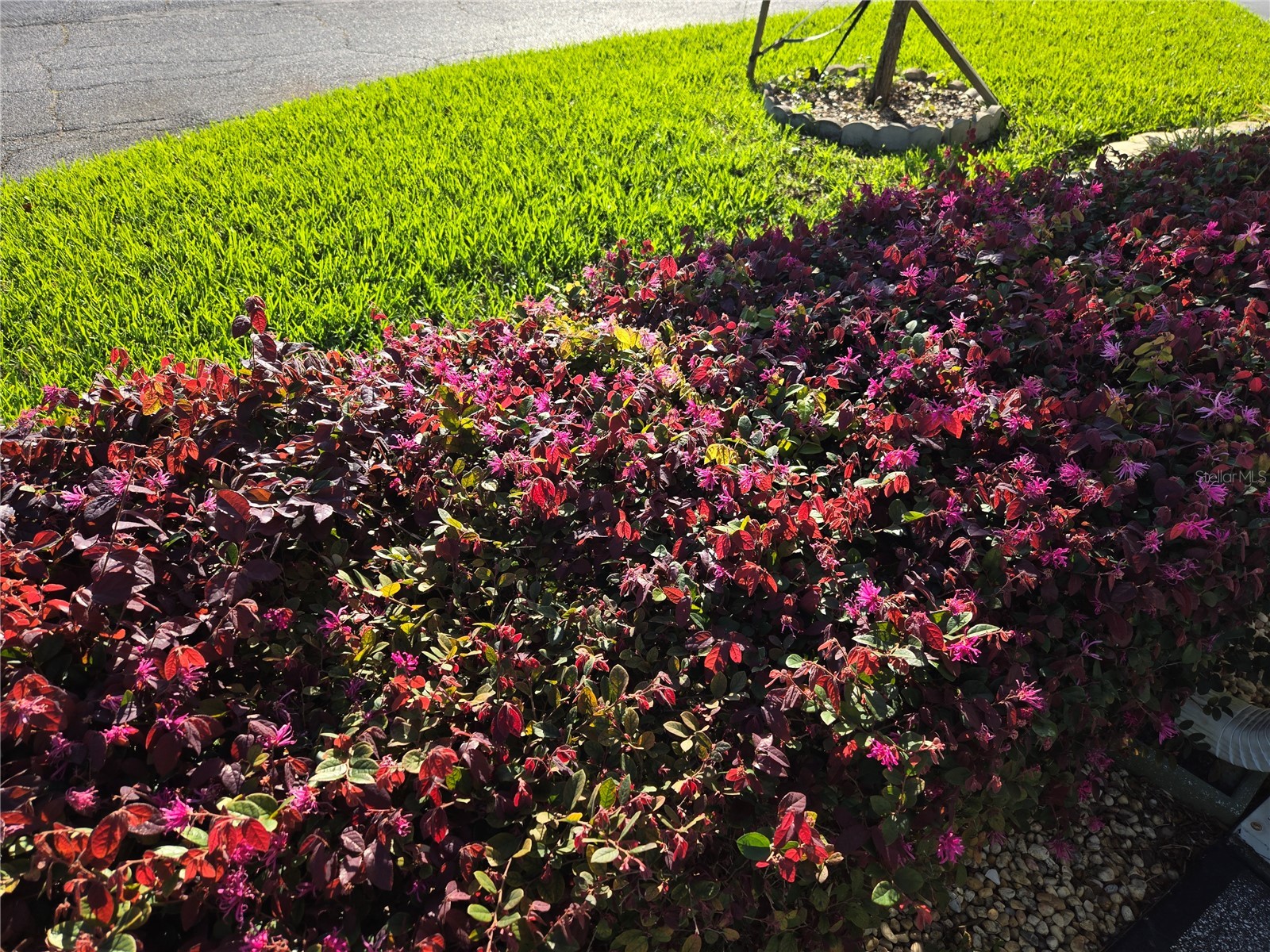 198 Dartmouth Drive Haines City FL 33844 - LAKE HENRY P4938135 image49