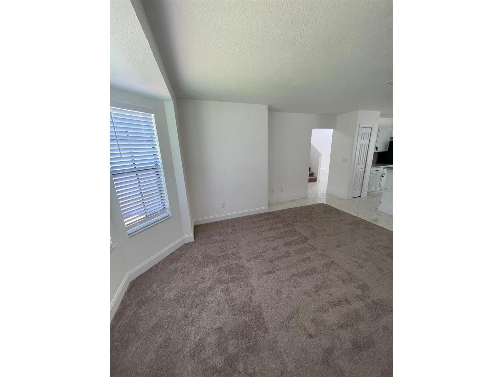 198 N Lake Court Kissimmee FL 34743 S5144435 image19