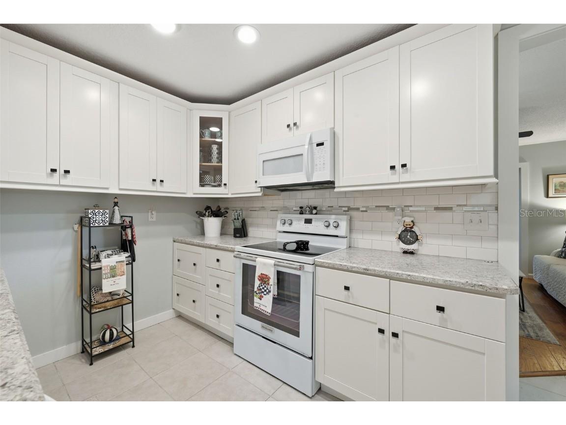 198 N Lake Franklin Drive Mount Dora FL 32757 - LAKE FRANKLIN O6353312 image15