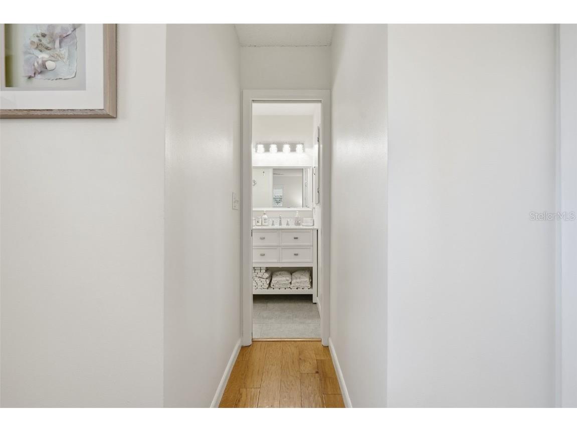 198 N Lake Franklin Drive Mount Dora FL 32757 - LAKE FRANKLIN O6353312 image21