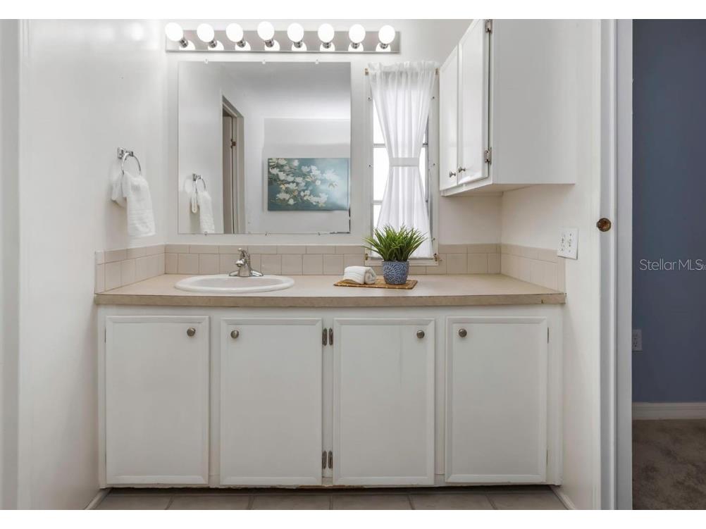 198 Philadelphia Boulevard #11 Palm Harbor FL 34684 - LAKE TARPON TB8522227 image13