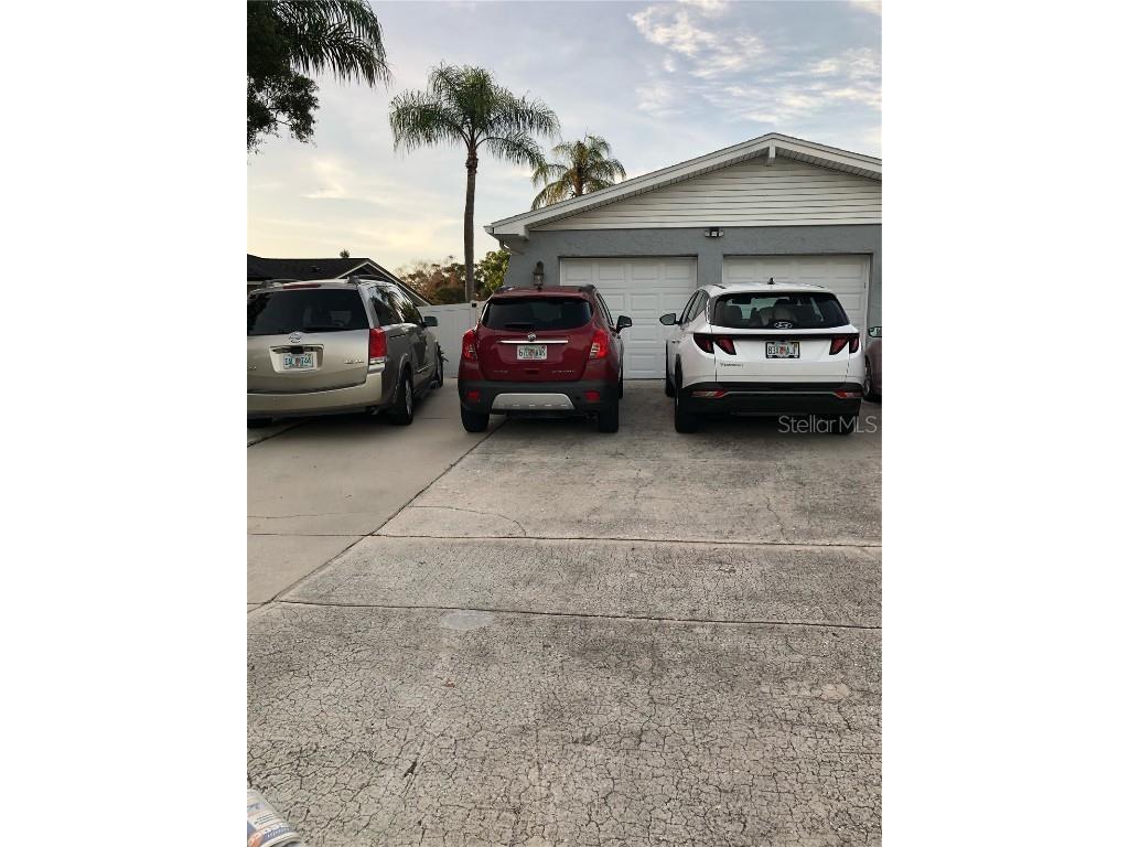 1980 Briarwood Street Dunedin FL 34698 T3465699 image1