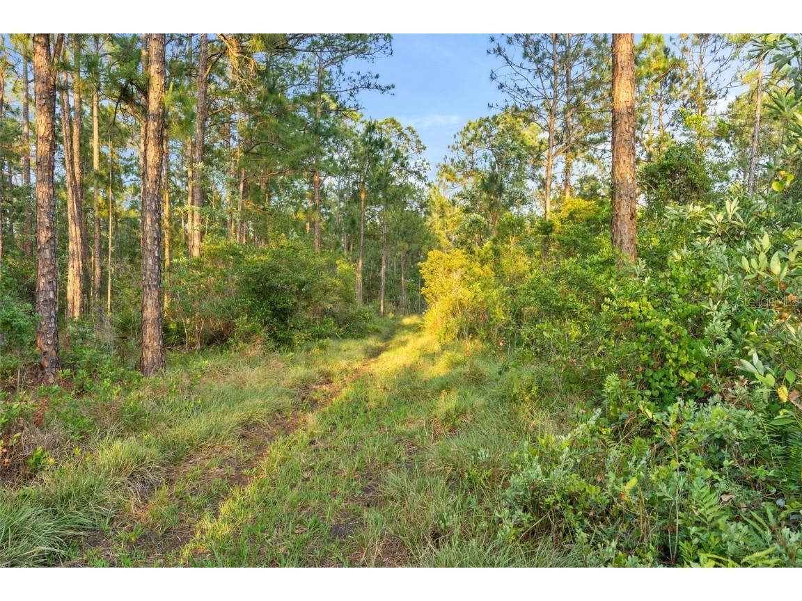 1980 Lake Buffum Road E Fort Meade FL 33841 - LAKE BUFFUM T3533019 image10