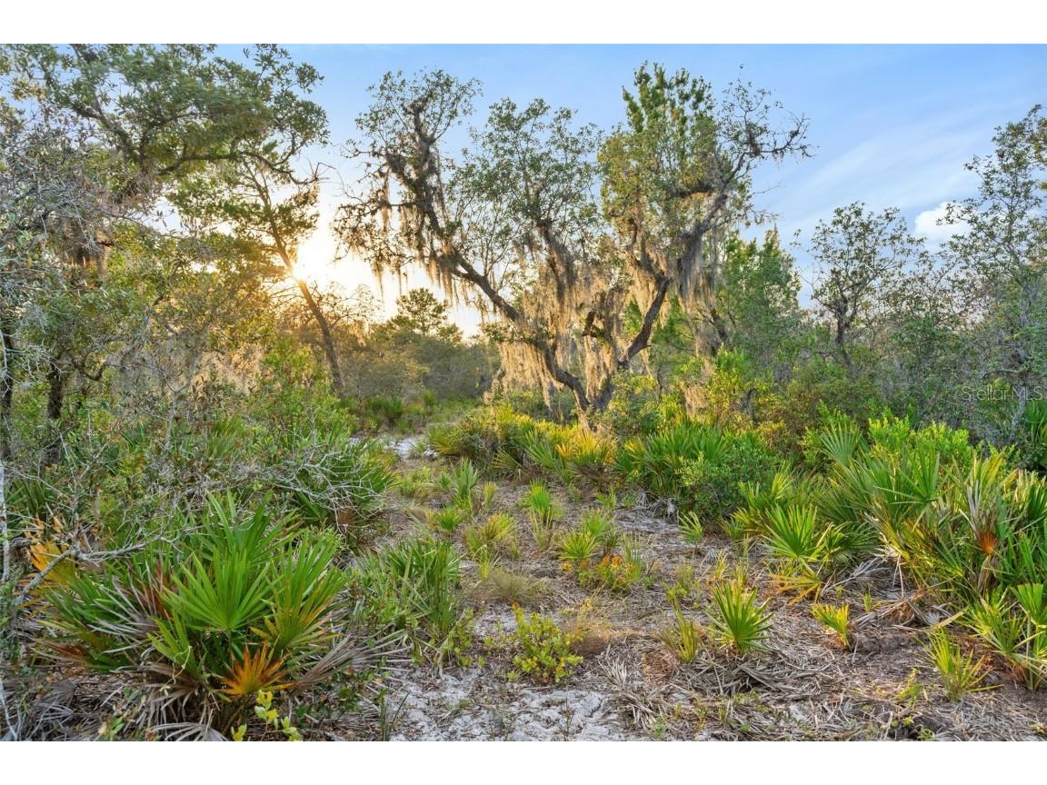 1980 Lake Buffum Road E Fort Meade FL 33841 - LAKE BUFFUM T3533019 image11