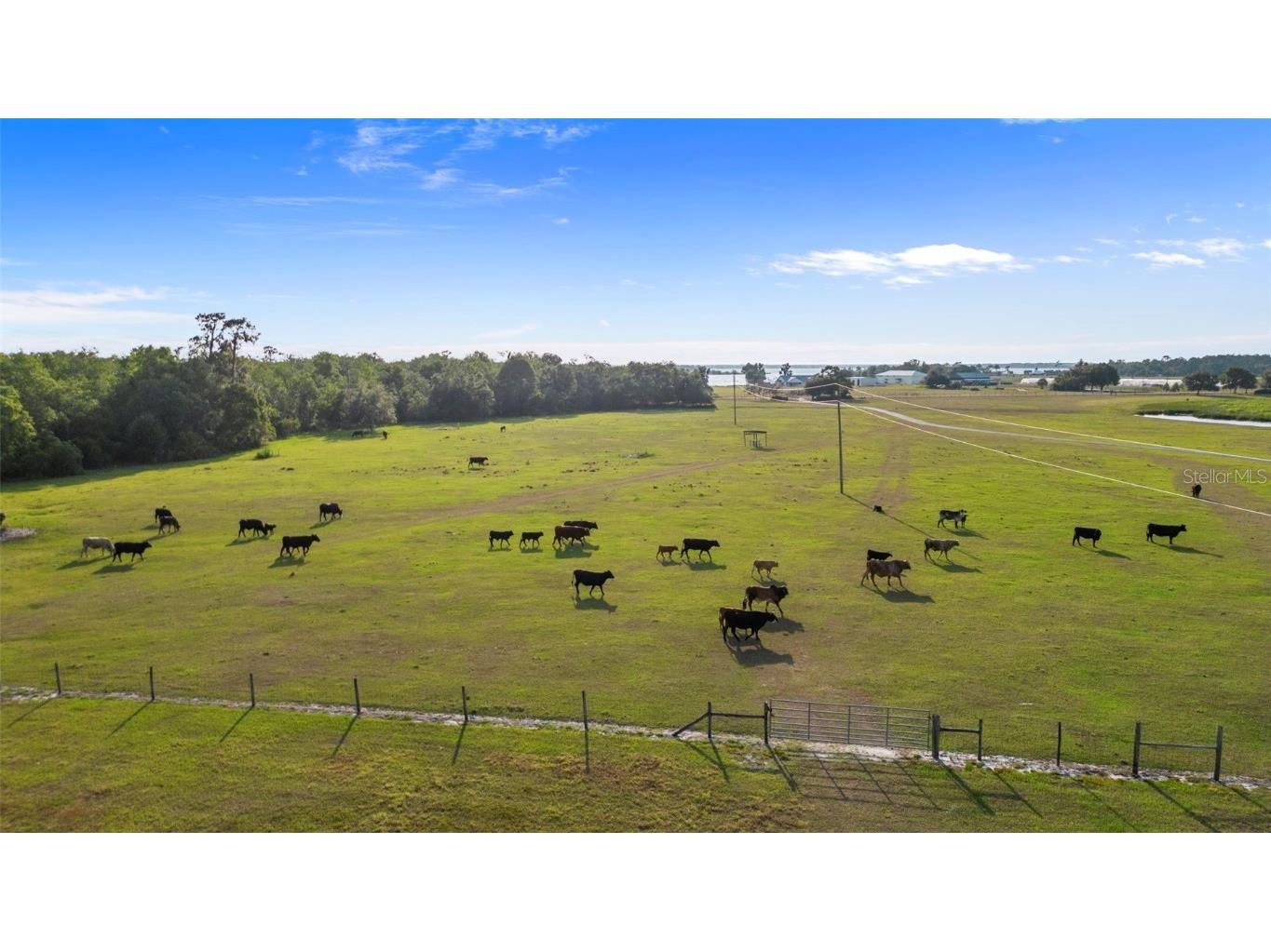 1980 Lake Buffum Road E Fort Meade FL 33841 - LAKE BUFFUM T3533019 image13