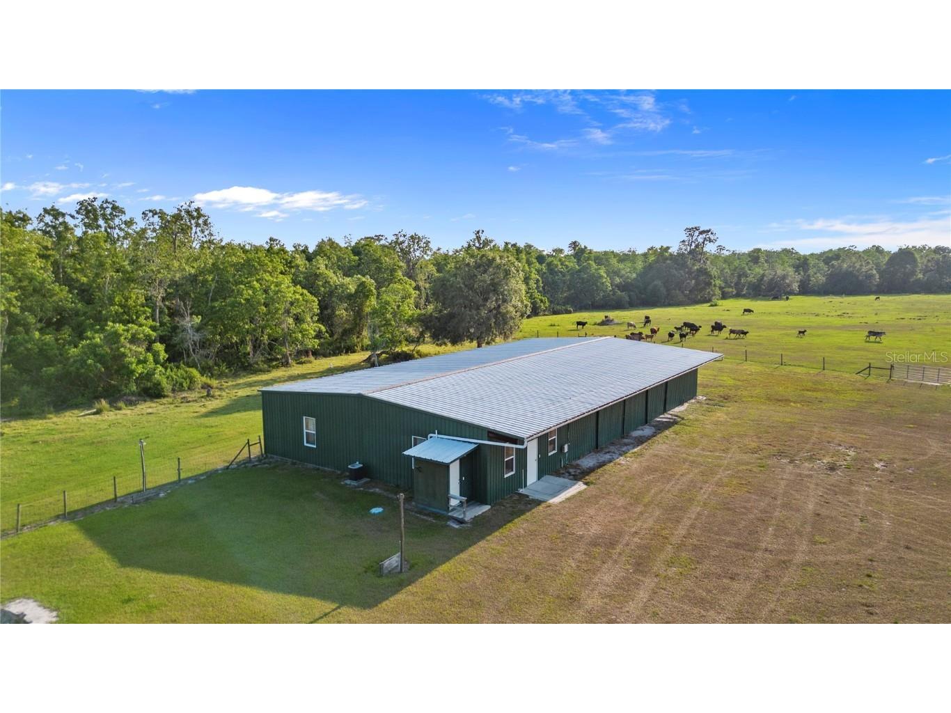 1980 Lake Buffum Road E Fort Meade FL 33841 - LAKE BUFFUM T3533019 image43