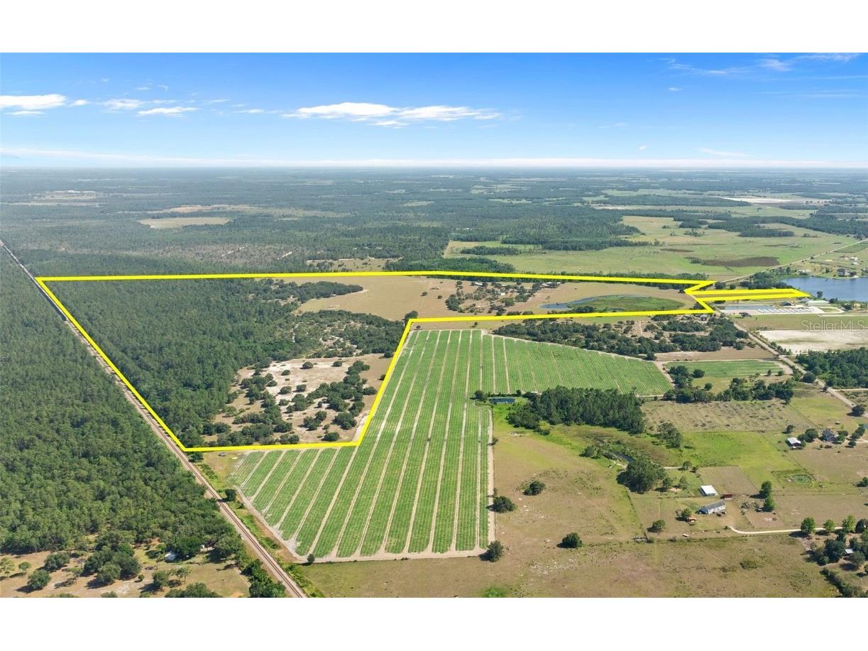 1980 Lake Buffum Road E Fort Meade FL 33841 - LAKE BUFFUM T3533019 image5