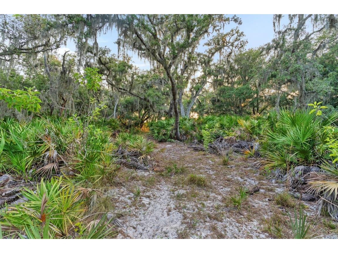 1980 Lake Buffum Road E Fort Meade FL 33841 - LAKE BUFFUM T3533019 image50