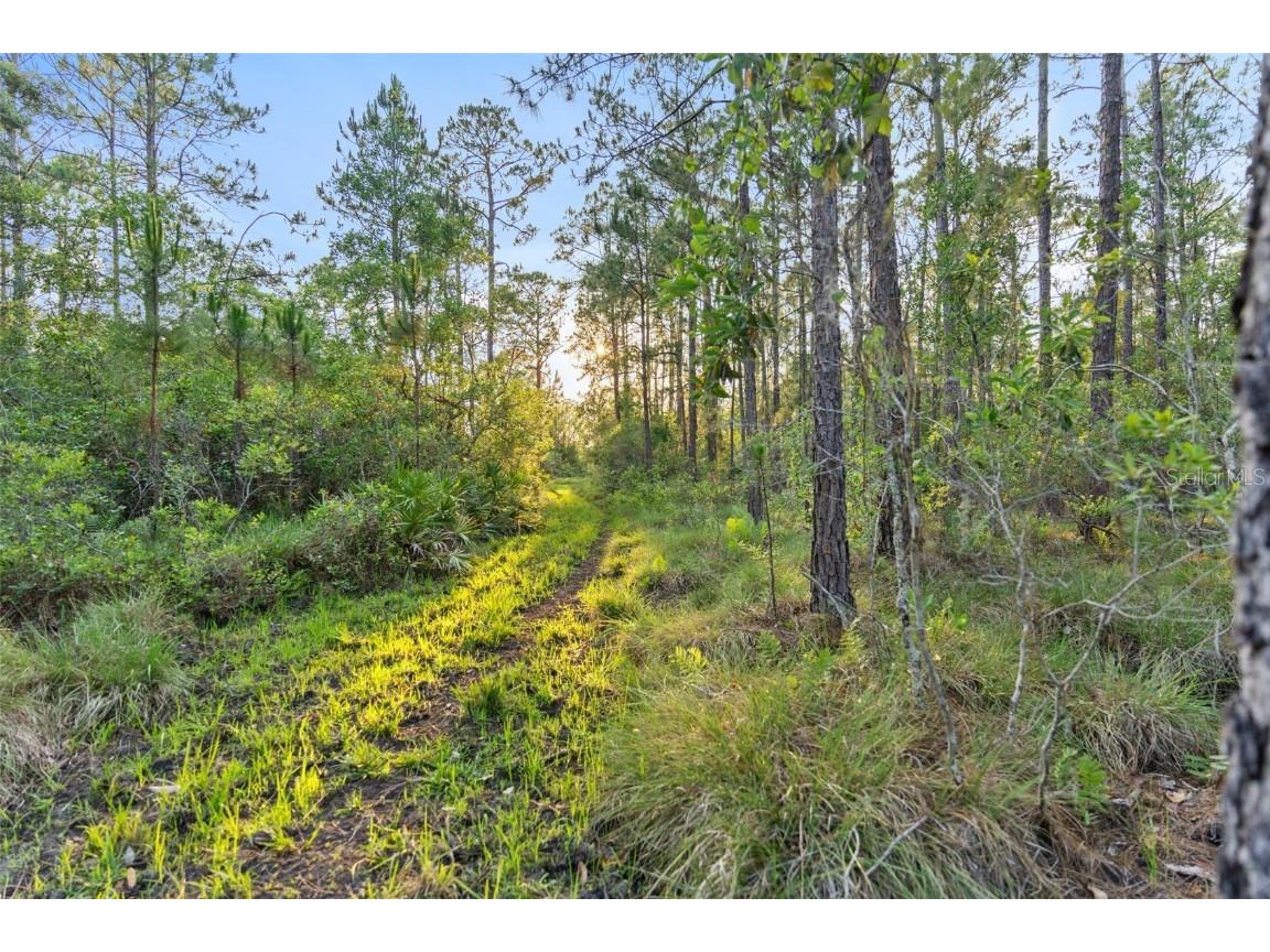 1980 Lake Buffum Road E Fort Meade FL 33841 - LAKE BUFFUM T3533019 image55