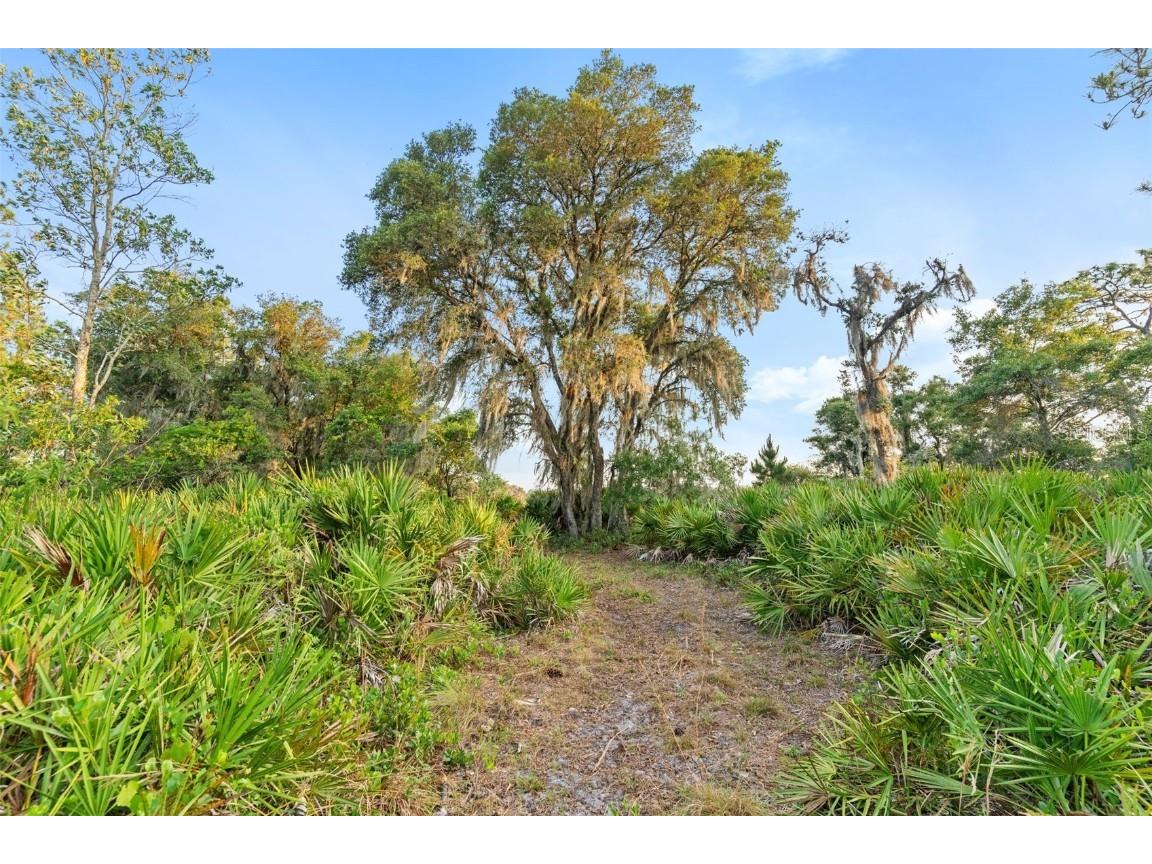 1980 Lake Buffum Road E Fort Meade FL 33841 - LAKE BUFFUM T3533019 image56