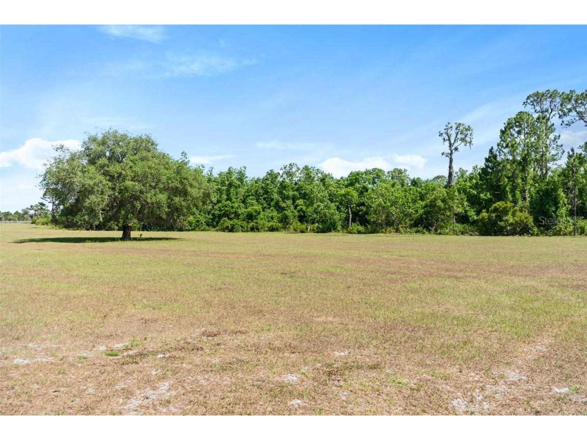 1980 Lake Buffum Road E Fort Meade FL 33841 - LAKE BUFFUM T3533019 image58