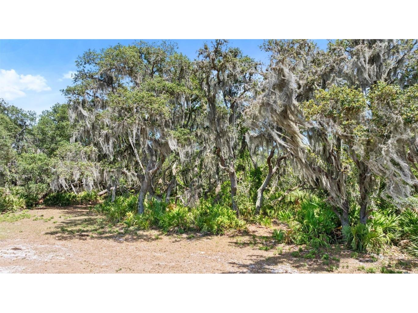 1980 Lake Buffum Road E Fort Meade FL 33841 - LAKE BUFFUM T3533019 image7