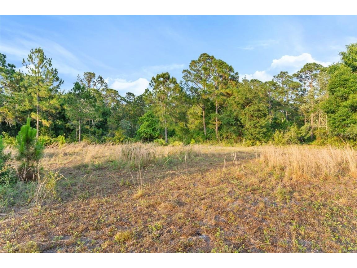 1980 Lake Buffum Road E Fort Meade FL 33841 - LAKE BUFFUM T3533019 image8