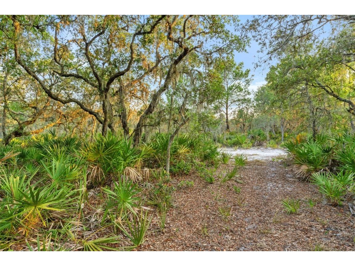 1980 Lake Buffum Road E Fort Meade FL 33841 - LAKE BUFFUM T3533019 image9