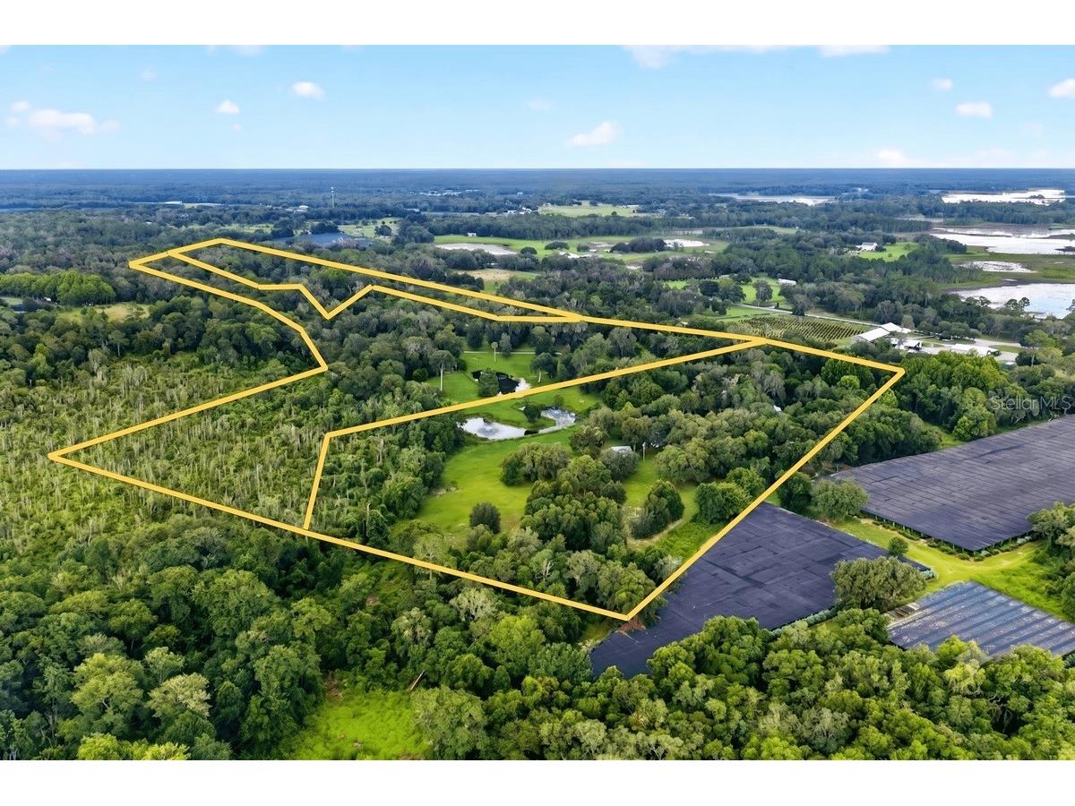 1980 Lake Hires Road De Leon Springs FL 32130 V4950134 image1