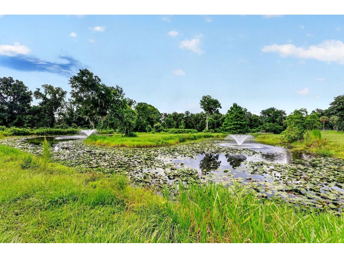 1980 Lake Hires Road De Leon Springs FL 32130 V4950134 image21