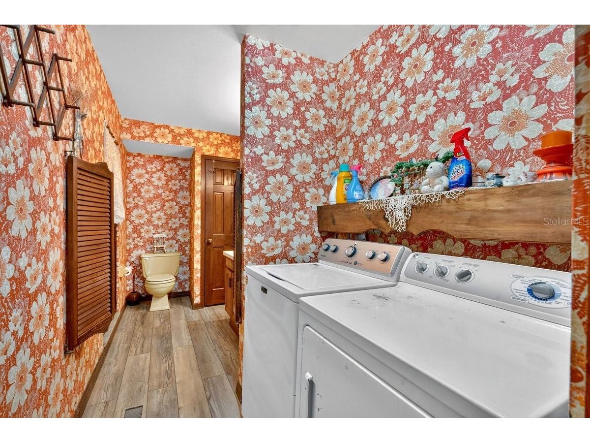 1980 Lake Hires Road De Leon Springs FL 32130 V4950134 image35