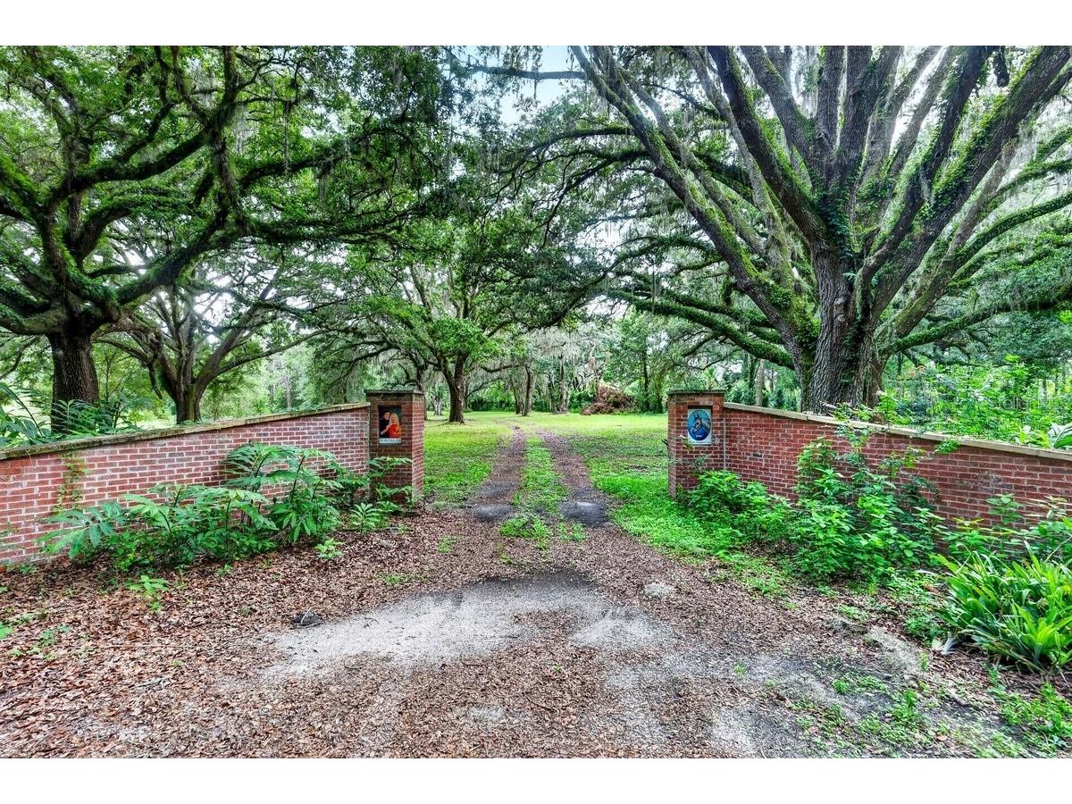 1980 Lake Hires Road De Leon Springs FL 32130 V4950134 image5