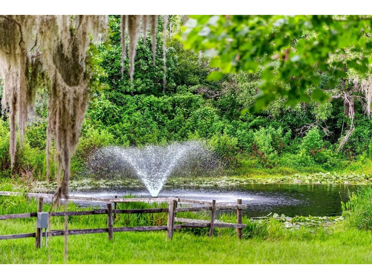 1980 Lake Hires Road De Leon Springs FL 32130 V4950134 image60