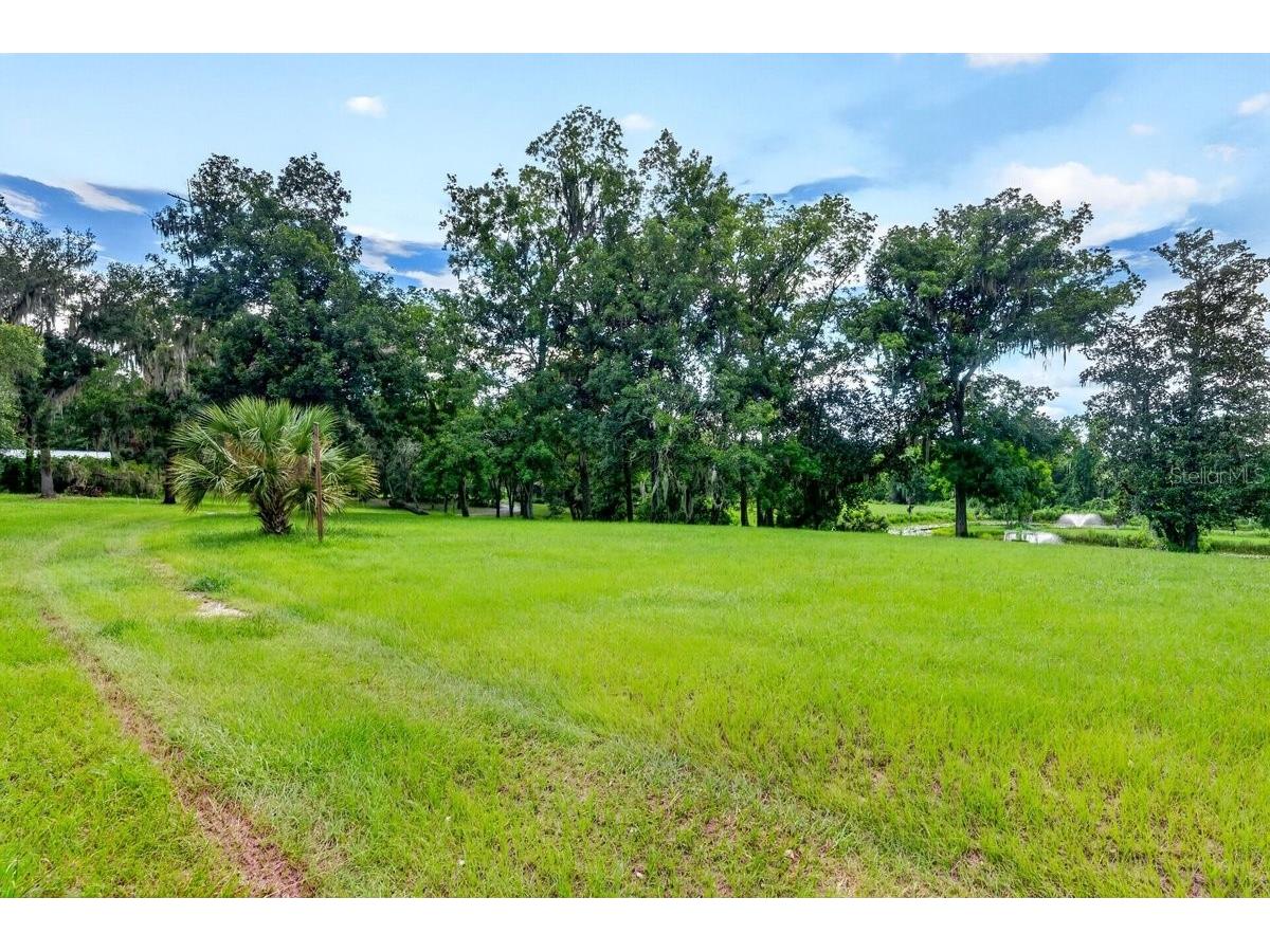 1980 Lake Hires Road De Leon Springs FL 32130 V4950134 image63