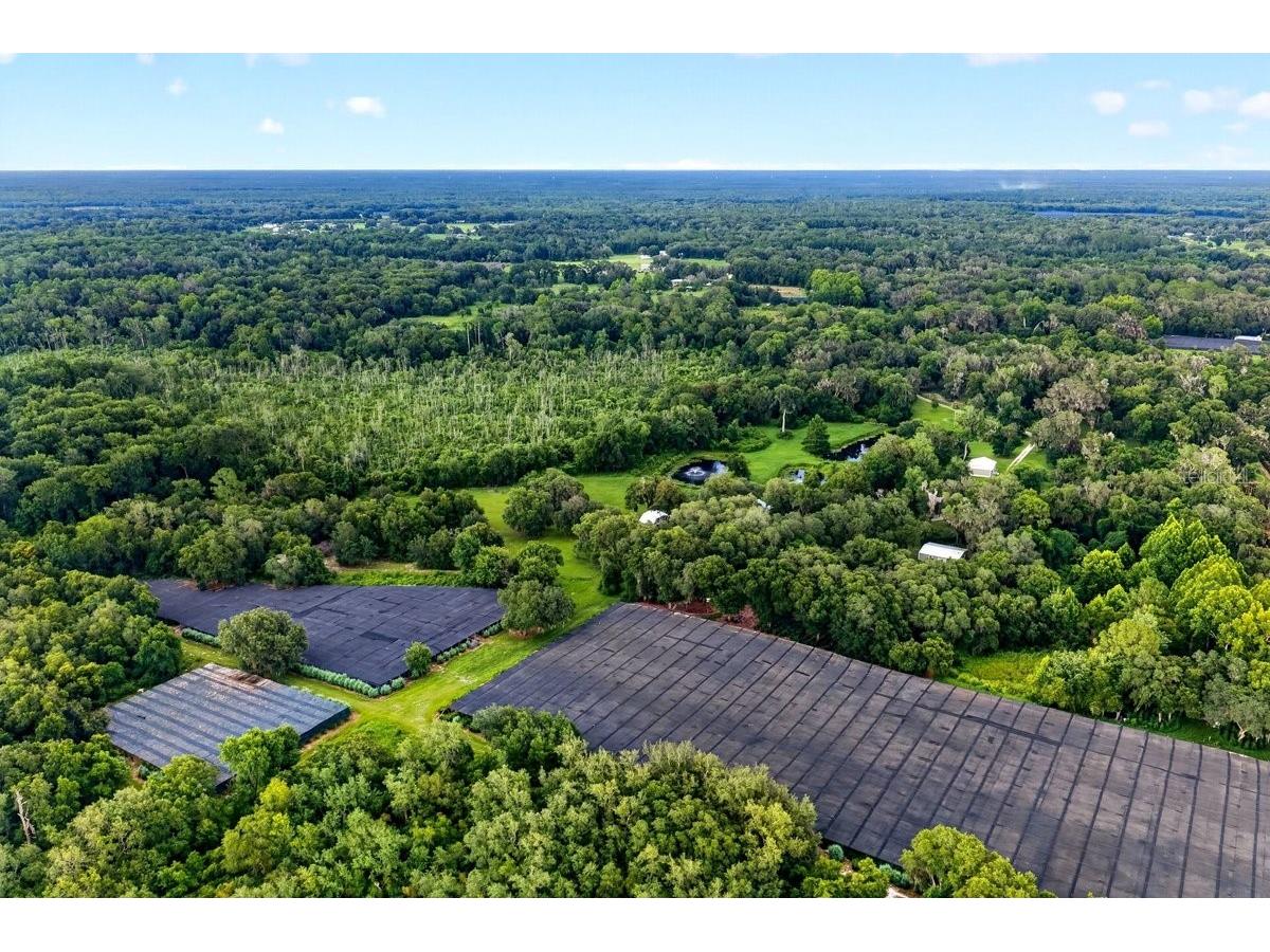 1980 Lake Hires Road De Leon Springs FL 32130 V4950134 image64