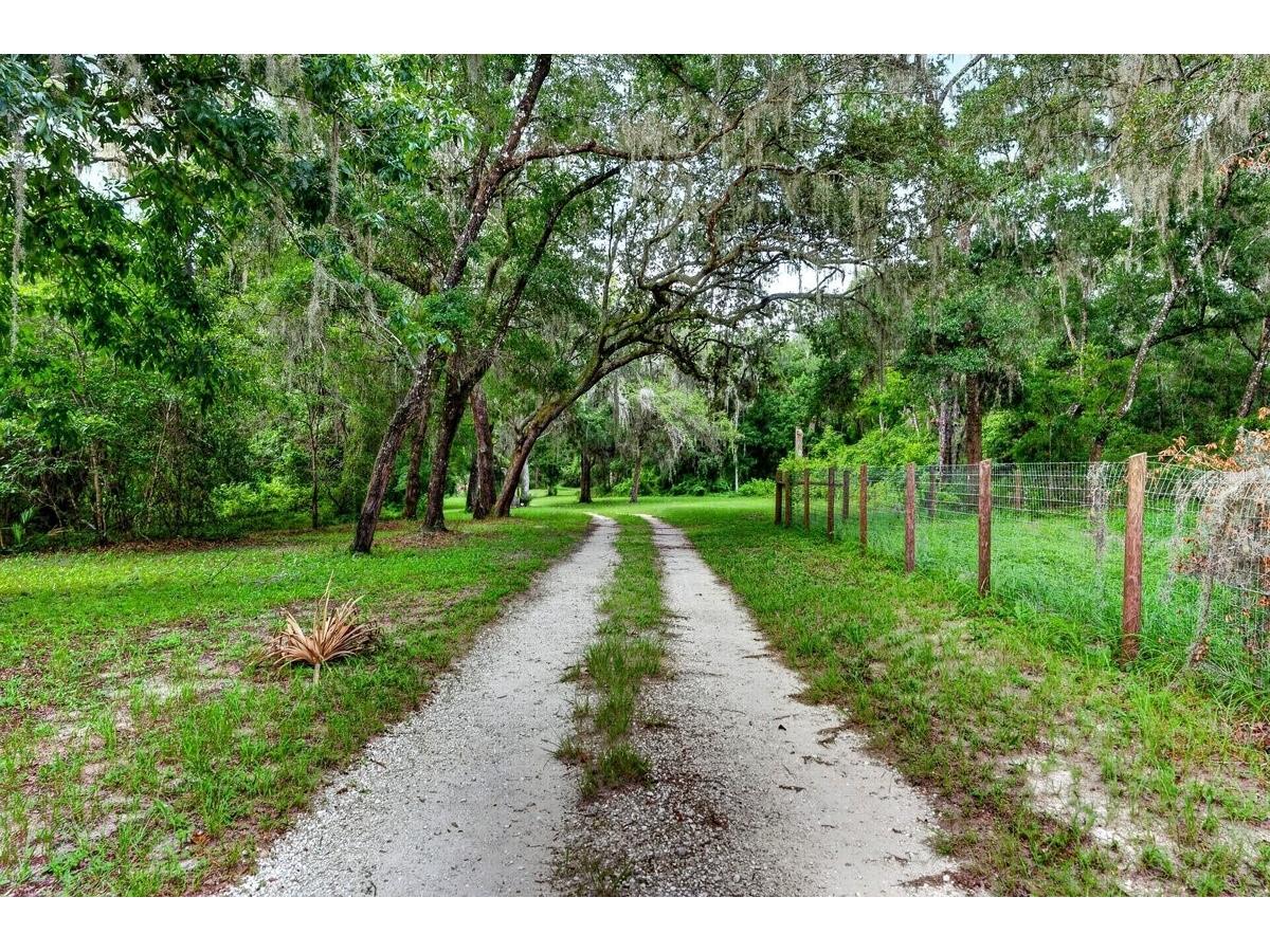 1980 Lake Hires Road De Leon Springs FL 32130 V4950134 image7