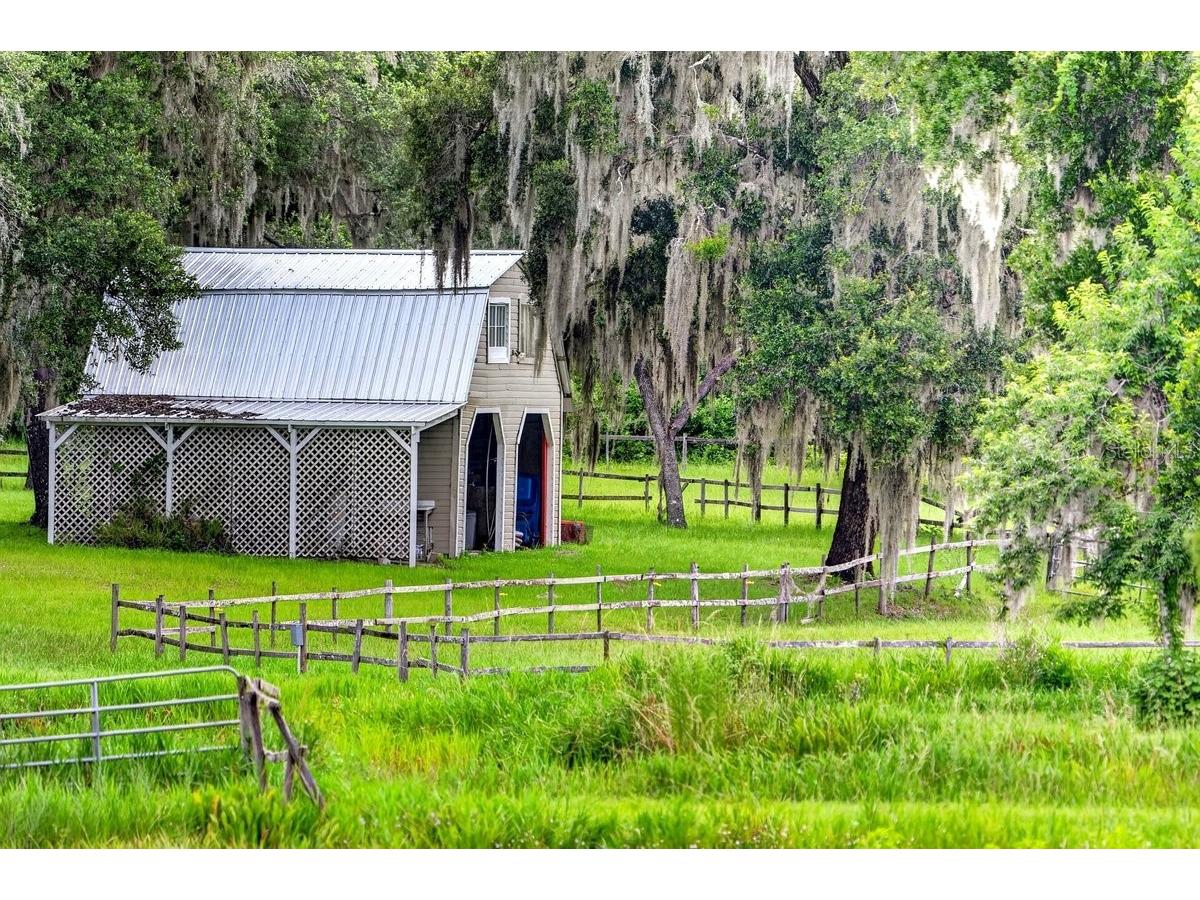 1980 Lake Hires Road De Leon Springs FL 32130 V4950134 image8